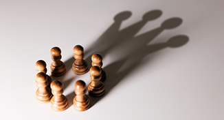 Image of Image of chess pawns