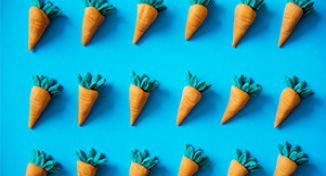 Image of Rows of carrots